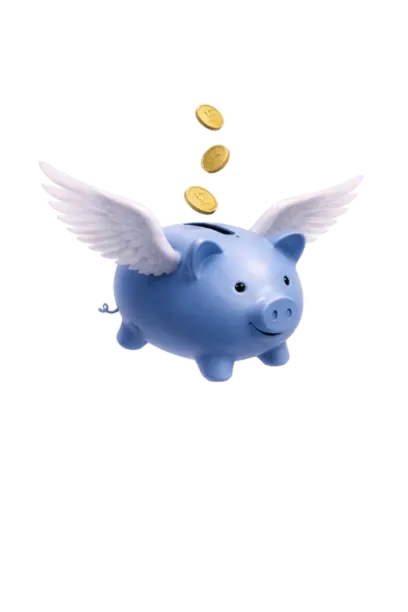 FlyingPigT